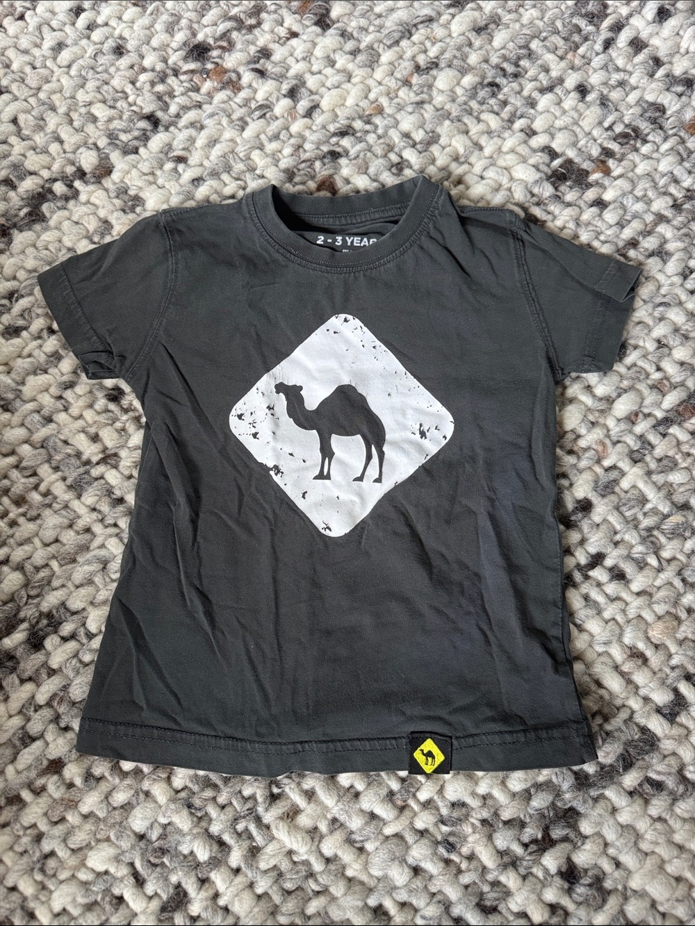 Black Kids Short-Sleeve Camel Graphic Tee